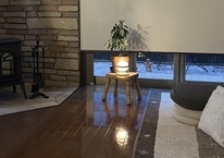 307「トンボと物思いにふける」