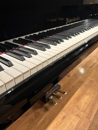 344「ピアノのペダル」