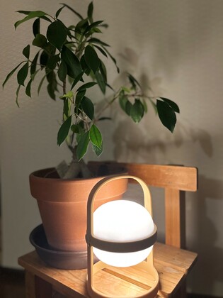 26「冬の光を実験する」