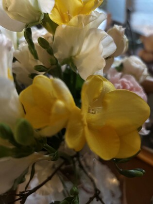 27「お花のサブスクが運ぶ思い出」