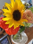 224「夏の締めくくりをはじめます」